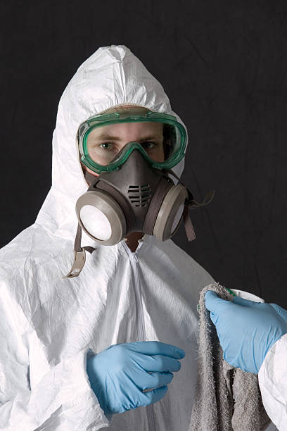 Best Mold Odor Removal Services  in St Peter, MN